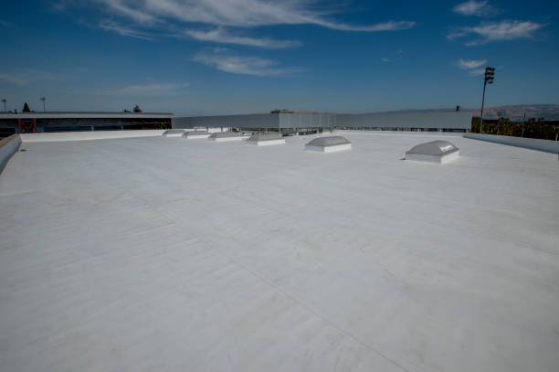Best Emergency Roof Repair Services  in St Bernard, OH